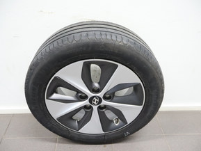 Hyundai Ioniq Electric