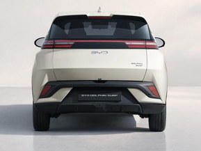 BYD Dolphin Surf