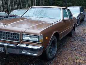 Chevrolet Caprice