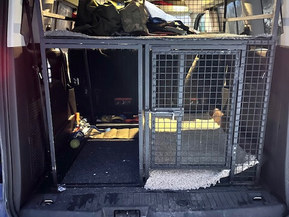 Ford Grand Tourneo Connect