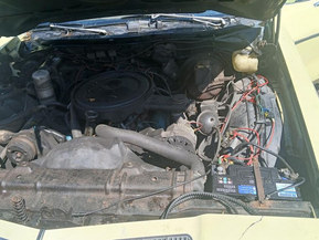 Oldsmobile Custom Cruiser