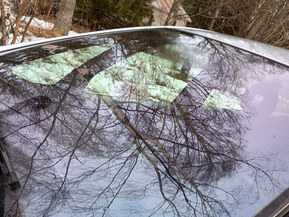 Citroen Xsara Picasso