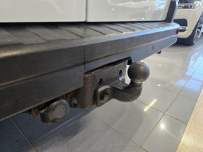 Renault Trafic Bussi