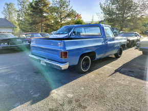 Chevrolet Fleetside