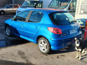 Peugeot 206
