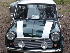 MINI 1000