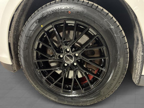 Volkswagen ID. Buzz Cargo