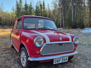 MINI 1000