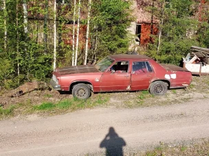 Oldsmobile Delta