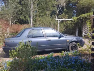Nissan Sunny