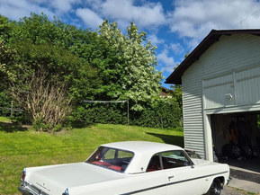 Oldsmobile Cutlass