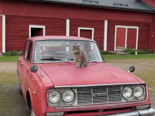 Toyota Corona