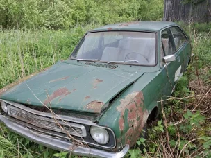 Morris Marina