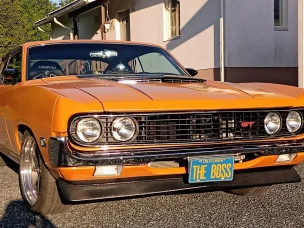 Ford Torino