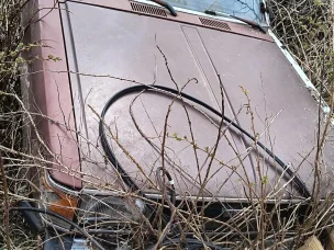 Toyota Carina