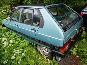 Citroen Visa