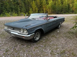 Ford Galaxie