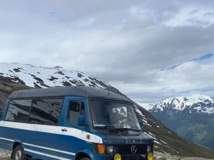 Mercedes-Benz 309