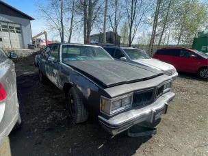 Oldsmobile Delta