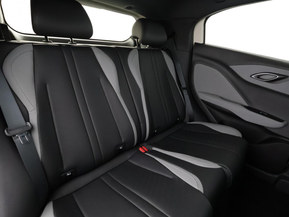 BYD Dolphin Surf