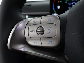 BYD Dolphin Surf