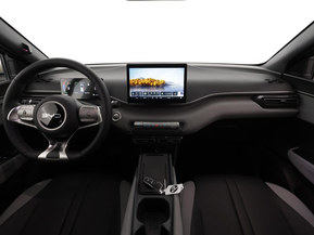 BYD Dolphin Surf