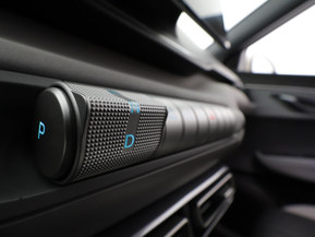 BYD Dolphin Surf