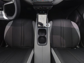 BYD Dolphin Surf