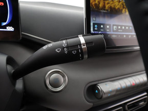 BYD Dolphin Surf