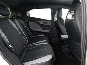 BYD Dolphin Surf