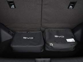 BYD Dolphin Surf