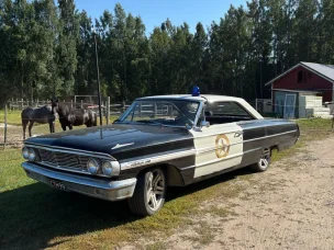 Ford Galaxie