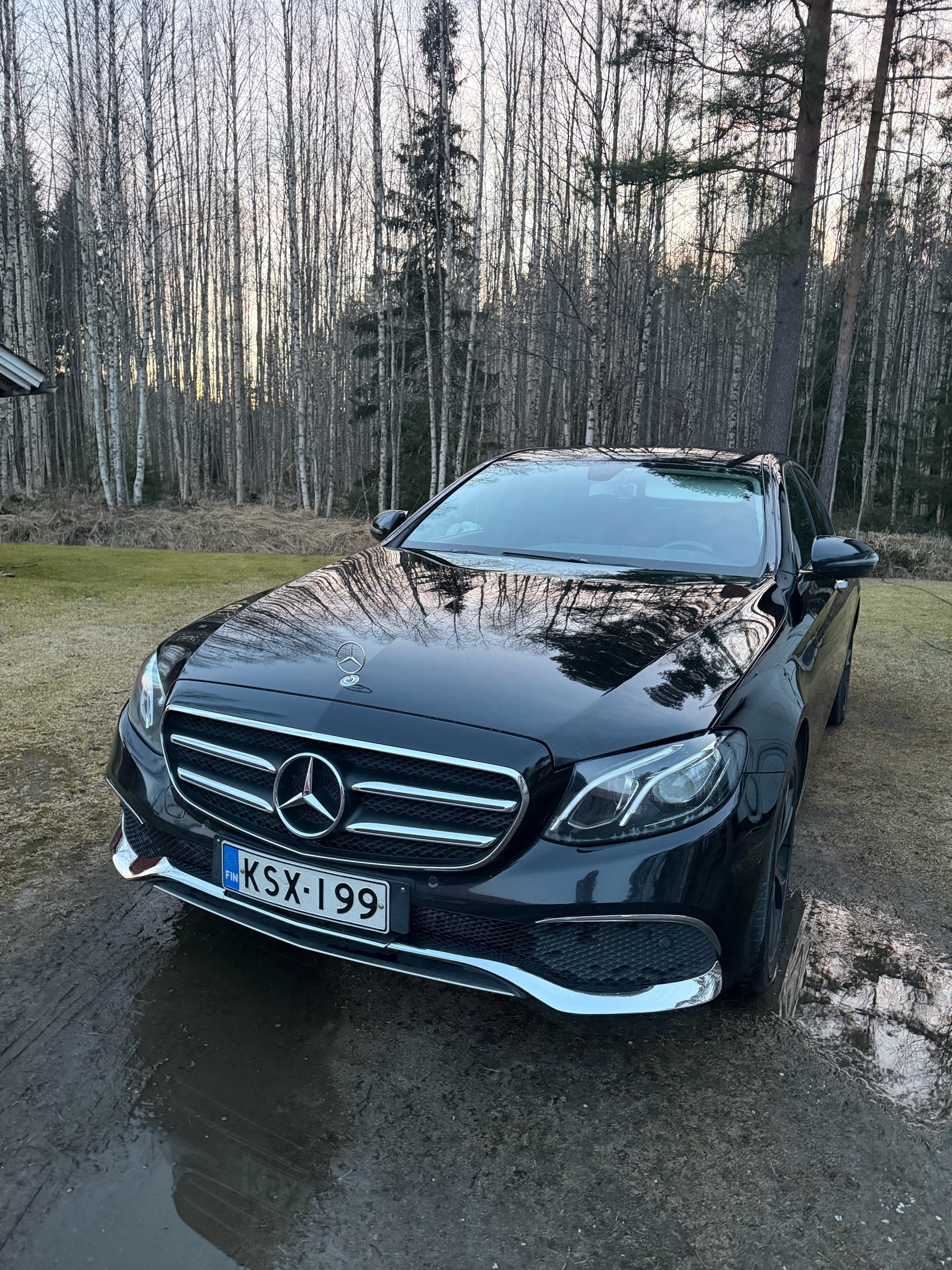 Mercedes-Benz E d Premium Pro 2017, kuva 5/12