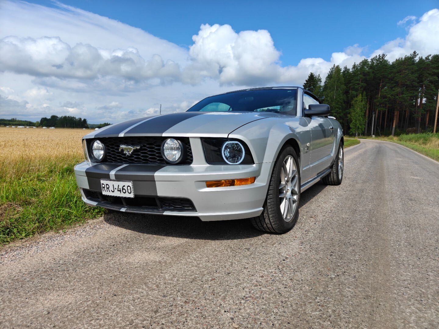 Ford Mustang Ford MUSTANG GT 4.6 V8 aut 2006, kuva 3/22