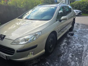 Peugeot 407