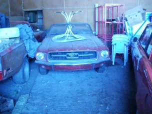 Ford Mustang