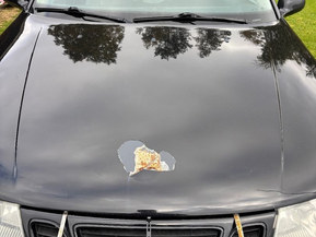 Saab 9-5