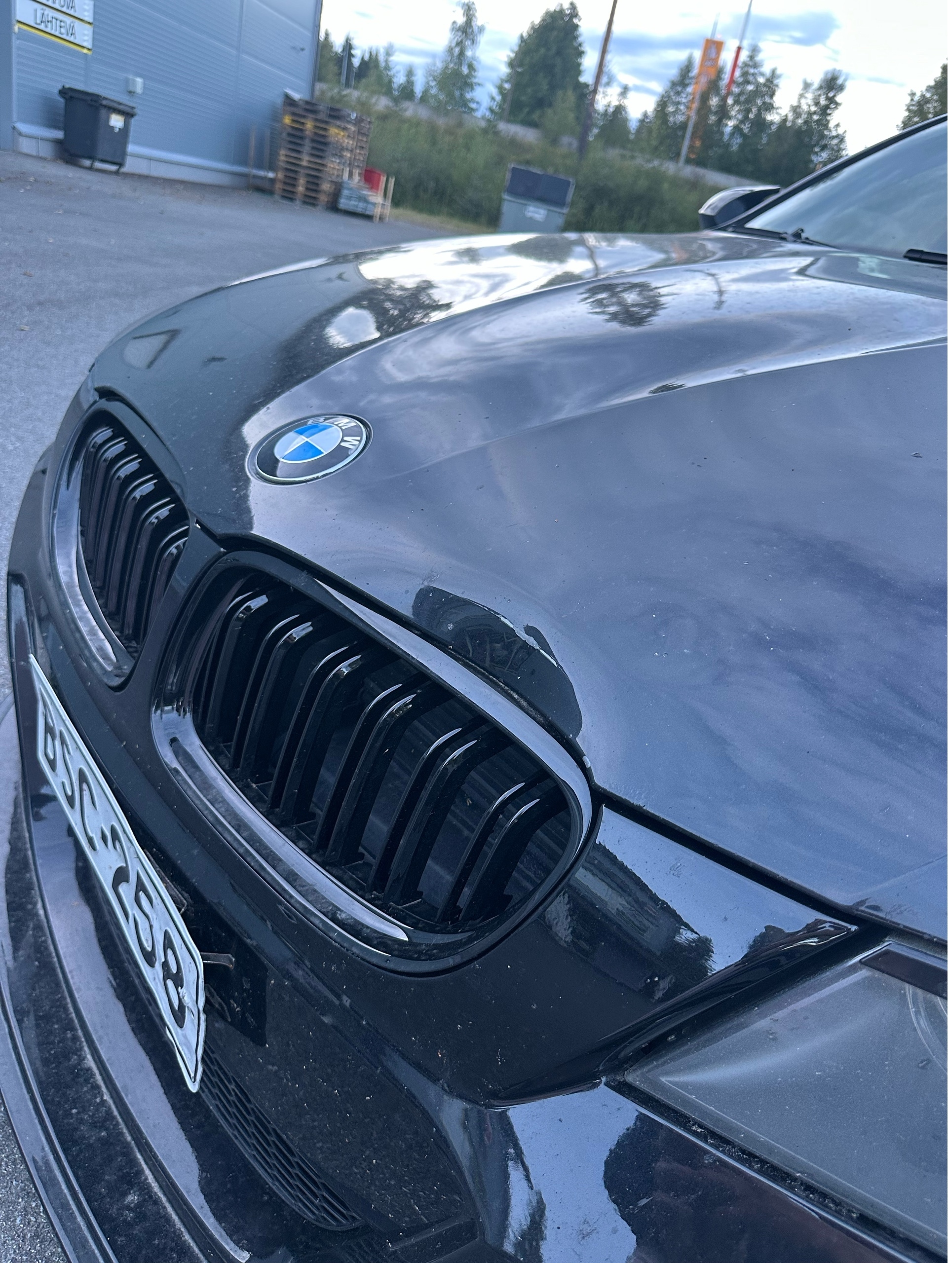 BMW 318 E90 2008, photo 7/10