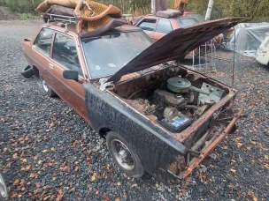 Datsun Sunny