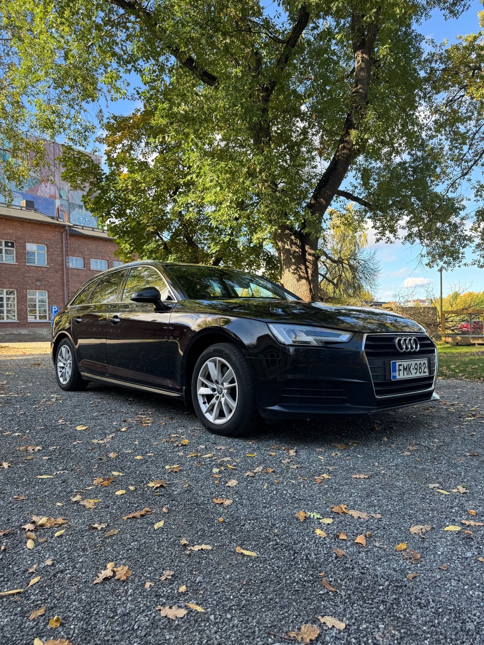 Audi A4 2017, photo 5/13