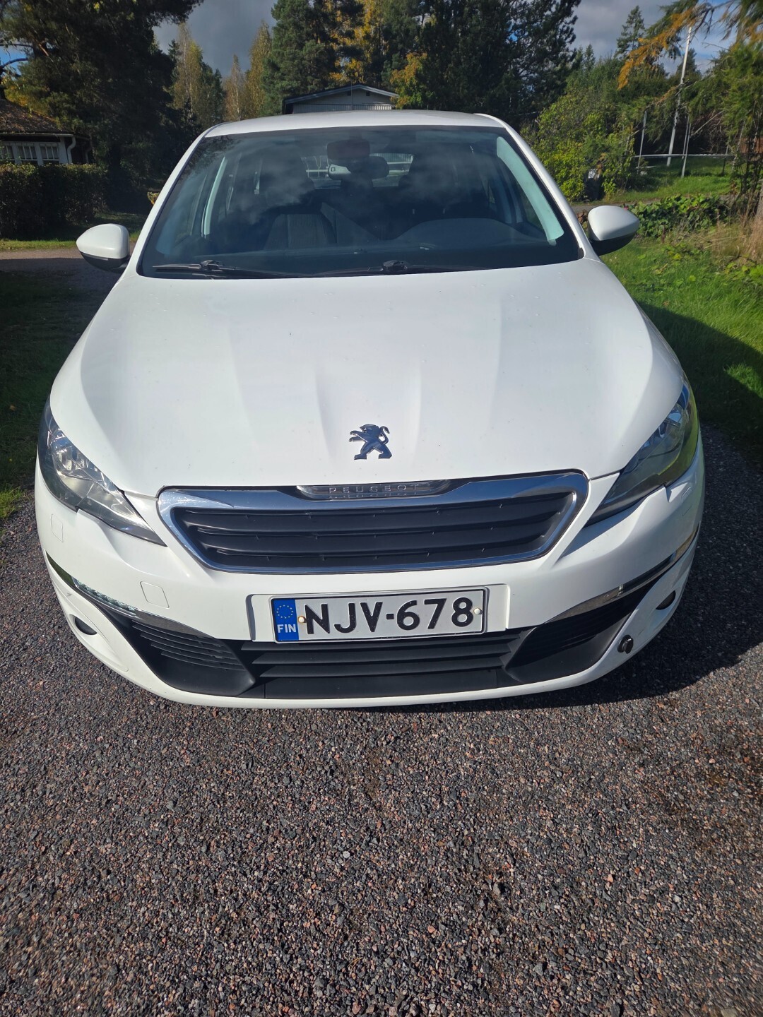 Peugeot 308 SW ACTIVE BLUEHDI 120 2015, kuva 5/8
