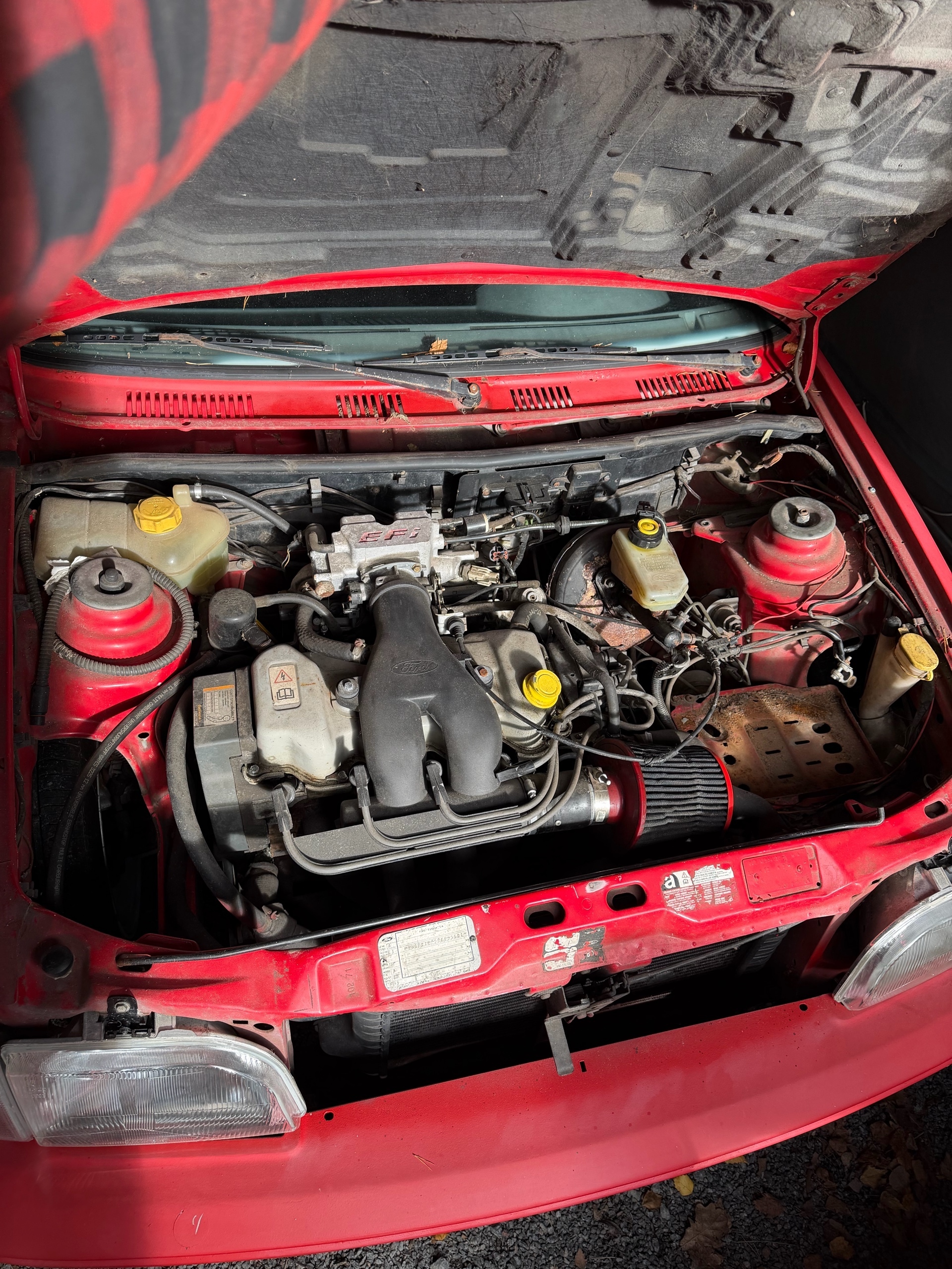 Ford Fiesta XR2i 1991, bild 8/8