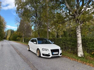 Audi S3