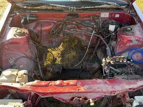 Toyota Carina