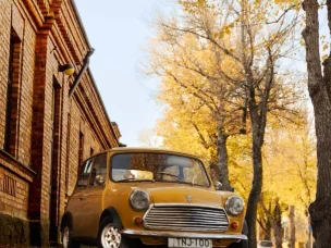 MINI 1000