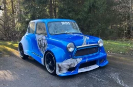 MINI 1000