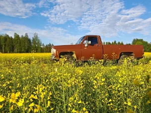 Chevrolet C10