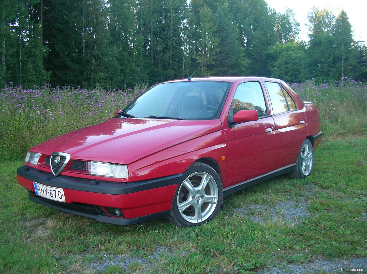 Alfa Romeo 155