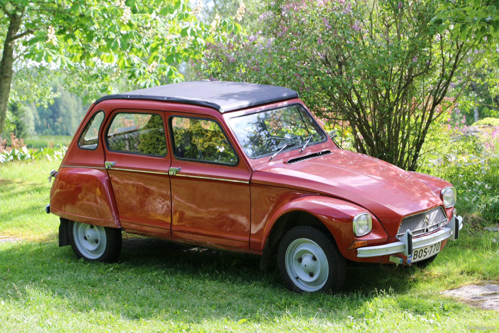 Citroen Dyane
