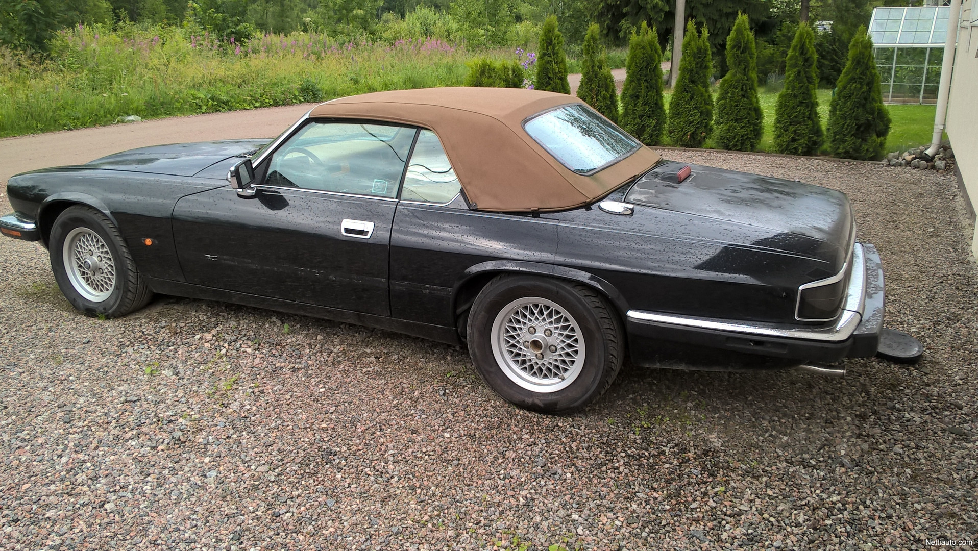 Jaguar XJS